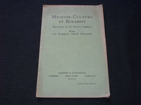 1917 MICROBE-CULTURE AT BUKAREST SOFTCOVER BOOK - GERMAN LEGATION - J 7168