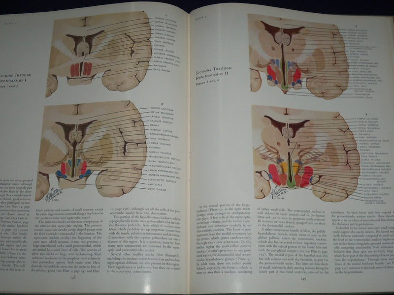 1964 CIBA COLLECTION OF MEDICAL ILLUSTRATIONS VOL NO. 1 - NERVOUS SYS. - KD 2343