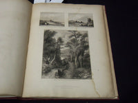 1847 PICTORIAL ILLUSTRATIONS OF NEW ZEALAND VOLUME - S. C. BREES - Z 246