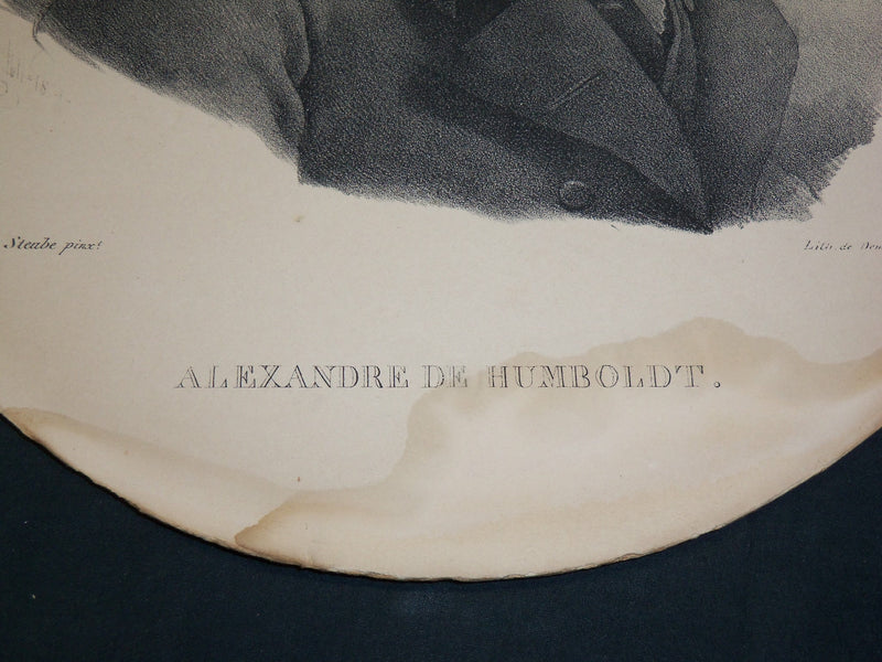 1800'S ALEXANDRE DE HUMBOLDT 13 1/2