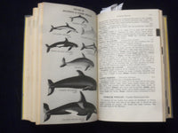 1959 COMPLETE FIELD GUIDE TO AMERICAN WILDLIFE HARDCOVER BOOK - KD 8682