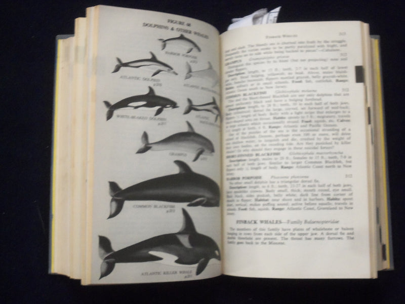 1959 COMPLETE FIELD GUIDE TO AMERICAN WILDLIFE HARDCOVER BOOK - KD 8682
