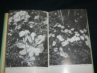 1986 ASIATIC PRIMULAS HARDCOVER BOOK BY ROY GREEN - KD 7121
