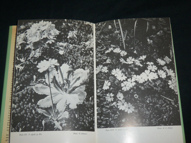 1986 ASIATIC PRIMULAS HARDCOVER BOOK BY ROY GREEN - KD 7121