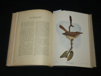 1901 BIRDS AND NATURE IN NATURAL COLORS VOLUME 10 BY WILLIAM HIGLEY - KD 7512