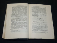 1895-1910 CENTRALBLATT FUR BAKTERIOLOGIE GERMAN VOLUMES LOT OF 19 - KD 21D