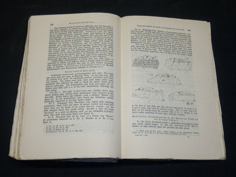 1895-1910 CENTRALBLATT FUR BAKTERIOLOGIE GERMAN VOLUMES LOT OF 19 - KD 21D