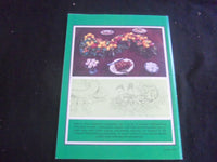 1981 COLONIAL WILLIAMSBURG DECORATES FOR CHRISTMAS MAGAZINE - B 4077U