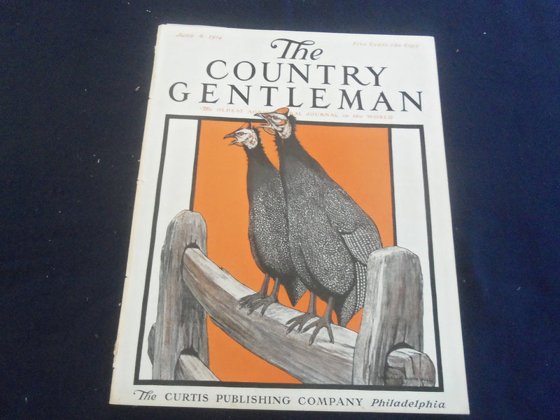 1914 JUNE 6 THE COUNTRY GENTLEMAN MAGAZINE - ILLUSTRATED COVER - B 2801Q