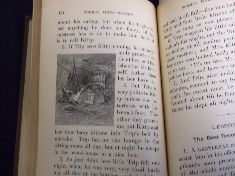 1884 THE NEW NORMAL THIRD READER VOLUME BY ALBERT RAUB LOT OF 2 - KD 4814U
