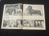 1947 JUNE 1 SYRACUSE HERALD AMERICAN PARADE MAGAZINE - AMERICA'S DOGS - SP 886U