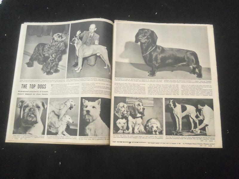 1947 JUNE 1 SYRACUSE HERALD AMERICAN PARADE MAGAZINE - AMERICA'S DOGS - SP 886U