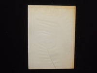 1966 TOMAHAWK NEOGA HIGH SCHOOL YEARBOOK - NEOGA, ILLINOIS - YB 3337