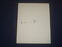 DR. JOYCE BROTHERS AUTOGRAPHED PHOTOGRAPH - J 6049