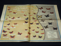 1954 APRIL 4 COLORAMA SECTION - JUNE LOCKHART - REED - DAY - NP 8984