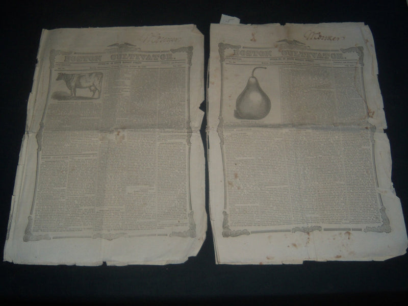 1852 BOSTON CULTIVATOR LOT OF 2 - DANIEL WEBSTER DEATH & FUNERAL - NP 3969