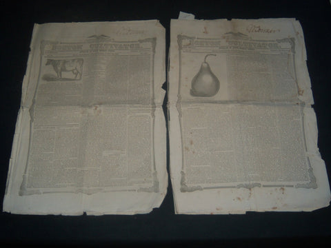 1852 BOSTON CULTIVATOR LOT OF 2 - DANIEL WEBSTER DEATH & FUNERAL - NP 3969