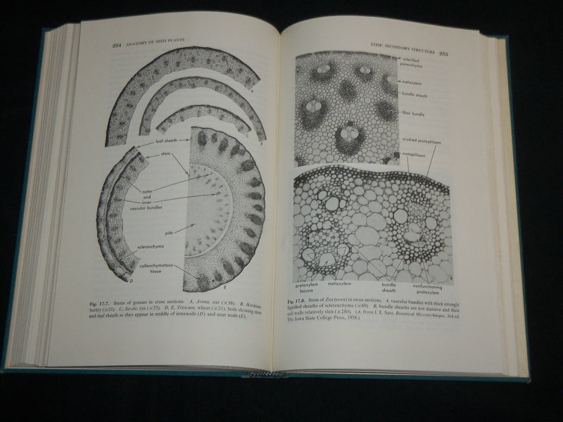 1966 ANATOMY OF SEED PLANTS HARDCOVER BOOK BY KATHERINE ESAU - KD 6949