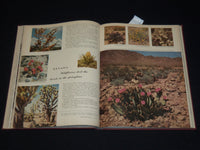 1955-1956 THE MOTOR LAND MAGAZINE BOUND VOLUME - 11 ISSUES - KD 705E