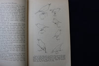 1929 BIRD SONG SOFTCOVER BOOK BY ARETAS A. SAUNDERS-NEW YORK STATE MUSEUM- K 876