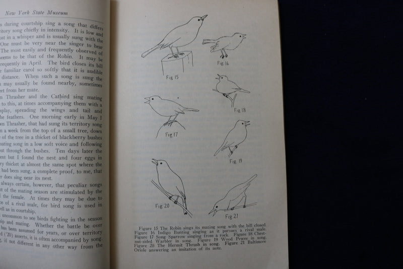1929 BIRD SONG SOFTCOVER BOOK BY ARETAS A. SAUNDERS-NEW YORK STATE MUSEUM- K 876