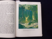1953 THE DEERSLAYER HARDCOVER BOOK BY J.C COOPER - ILLUS. BY N.C. WYETH- KD 8580