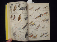 1959 COMPLETE FIELD GUIDE TO AMERICAN WILDLIFE HARDCOVER BOOK - KD 8682