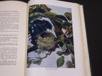 1902 BIRD HOMES EGGS & BREEDING BY A. R. DUGMORE - GREAT ILLUSTRATIONS - KD 33