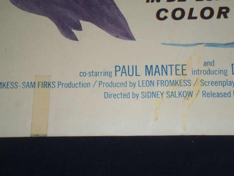 1964 BLOOD ON THE ARROW 1/2 SHEET MOVIE POSTER - DALE ROBERTSON - P 475