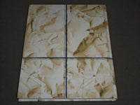 2005 PEGASUS SPOTSWOOD HIGH SCHOOL YEARBOOK - NEW JERSEY - PHOTOS - YB 1093