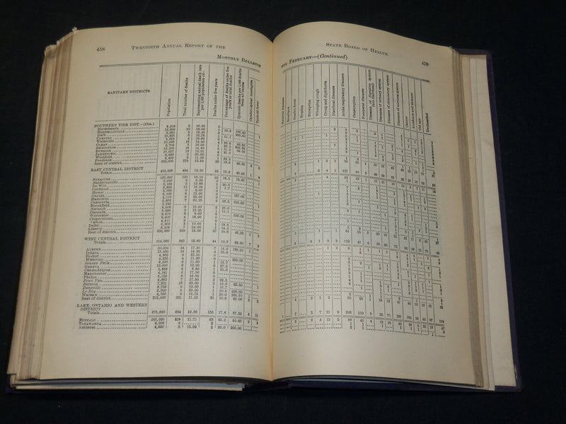 1899 NY STATE DEPARTMENT OF HEALTH 20TH ANNUAL REPORT VOLUME NO. 2 - KD 5898