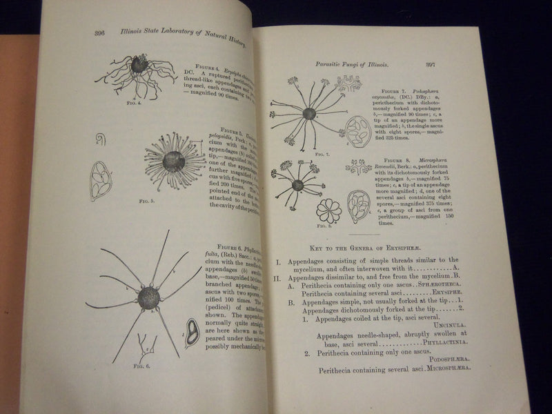1878-1886 ILLINOIS STATE LABORATORY OF NATURAL HISTORY BULLETIN LOT OF 7- O 1691