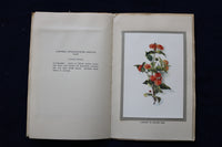 1930'S FLOWERS OF BERMUDA SOFTCOVER BOOK BY MAY MIDDLETON - K 1450