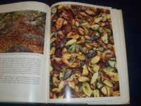 1974 THIS GOOD EARTH BOOK EDITED BY LES LINE - GREAT COLOR PHOTOS - KD 2987