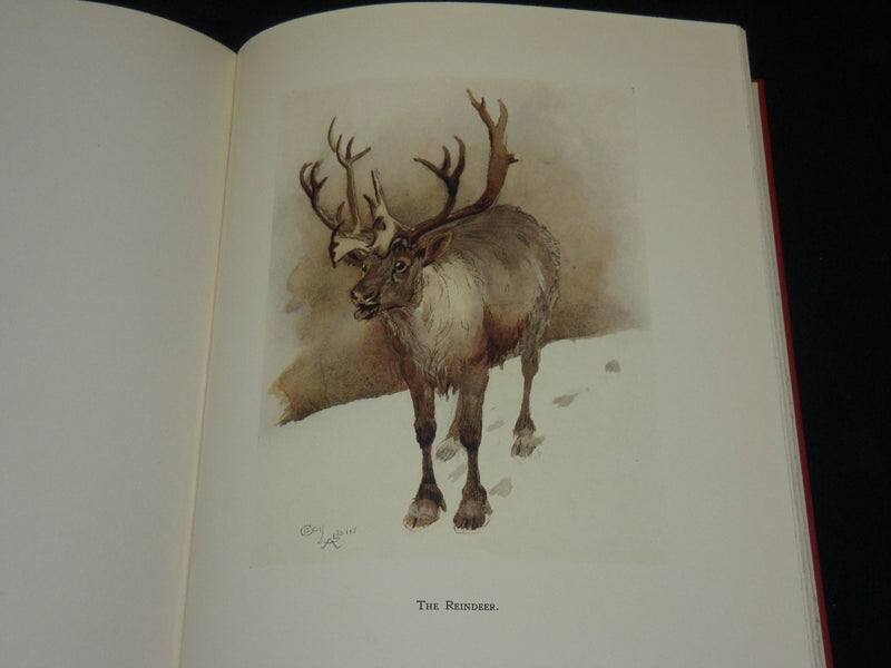1933 WHO'S WHO IN THE ZOO HARDCOVER BOOK BY MORTON & ALDIN - KD 2767L