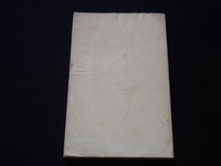 1917 THROUGH THE IRON BARS SOFTCOVER BOOK BY EMILE CAMMAERTS - J 7241