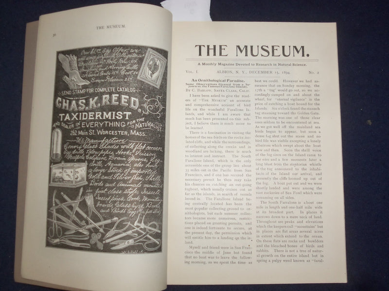 1894 NOV & DEC THE MUSEUM MAGAZINE - ISSUES #1 AND #2 - LOT OF 2 - J 9775