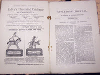 1879 APPLETON'S JOURNAL MAGAZINE LOT OF 11 ISSUES - SPENCER WALPOLE - WR 689
