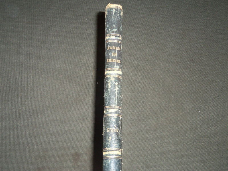 1868 DIE ANATOMIE DES KANINCHENS BY DR. W. KRAUSE GERAMN VOLUME - KD 39