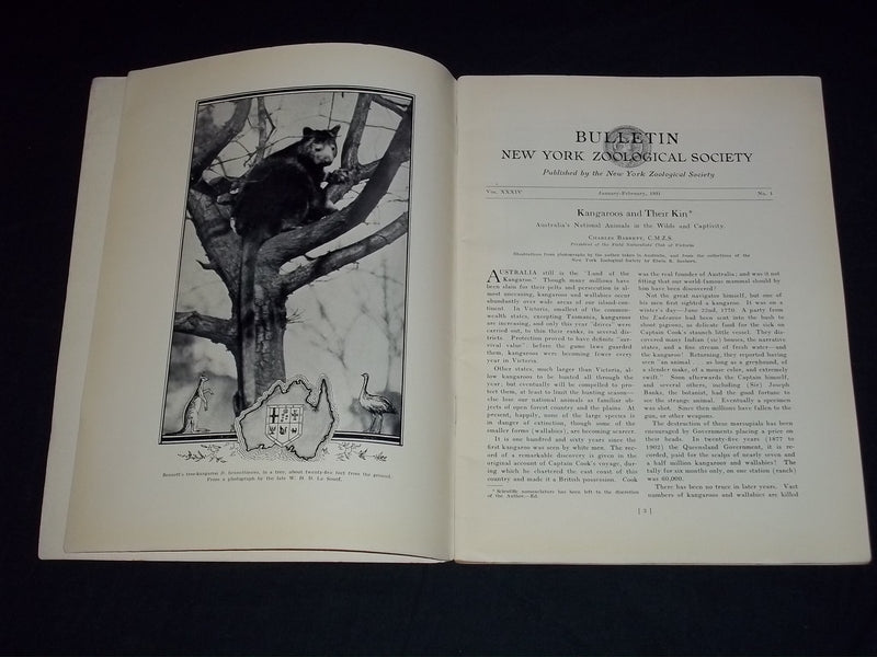 1931 JANUARY-FEBRUARY NEW YORK ZOOLOGICAL SOCIETY BULLETIN - J 5587