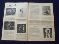 1976 HABIBI NEWSPAPER - VOLUME 3, NUMBER 2 - MIDDLE EASTERN DANCE/MUSIC- NP 6852