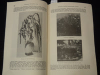 1939 GROWING ANNUAL PLANTS - U. S. DEPARTMENT OF AGRICULTURE BULLETIN - K 2655