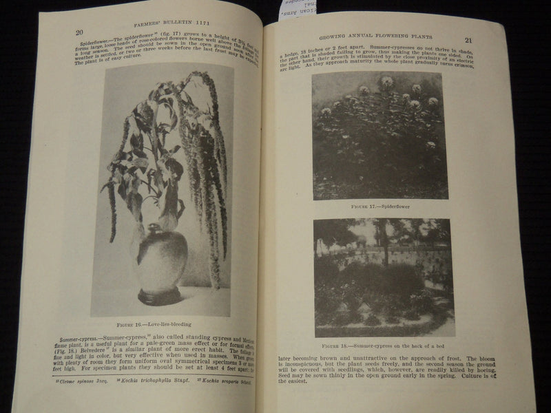 1939 GROWING ANNUAL PLANTS - U. S. DEPARTMENT OF AGRICULTURE BULLETIN - K 2655