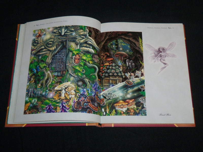 2005 FAERIES AND OTHER FANTASTICAL FOLK HARDCOVER BOOK BY MAXINE GADD - KD 6859