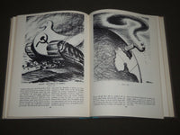 1953 AS I SAW IT BY D. R. FITZPATRICK HARDCOVER BOOK - KD 4691
