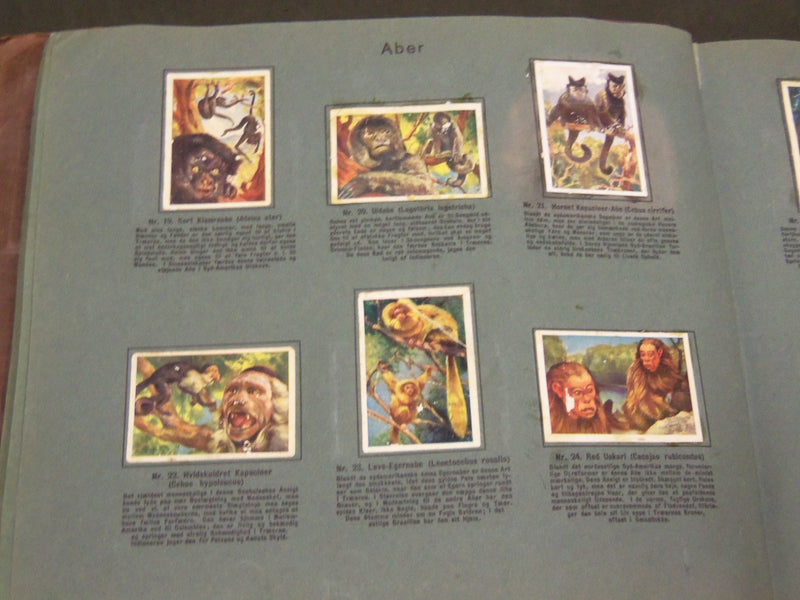 1930'S RICH'S SERIE AF DYRENES VERDEN ANIMAL TOBACCO CARDS ALBUM - KD 3181