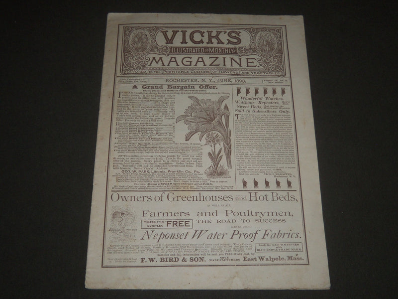 1893 JUNE VICK'S ILLUSTRATED MONTHLY MAGAZINE - ROCHESTER NEW YORK - J 2564