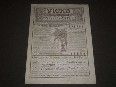 1893 JUNE VICK'S ILLUSTRATED MONTHLY MAGAZINE - ROCHESTER NEW YORK - J 2564