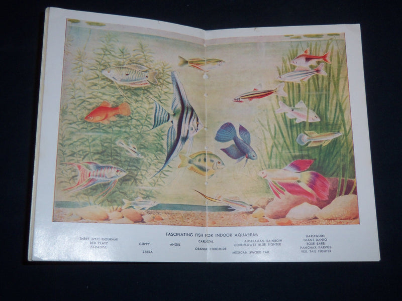 1953 TROPICAL FISHES THEIR CARE AND BREEDING BOOK BY WALTER HINTON - J 9256