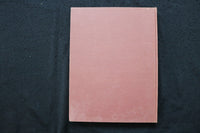 1954 HARVARD FOOTBALL PROGRAMS - BOUND VOLUME - TED KENNEDY - KD 9571
